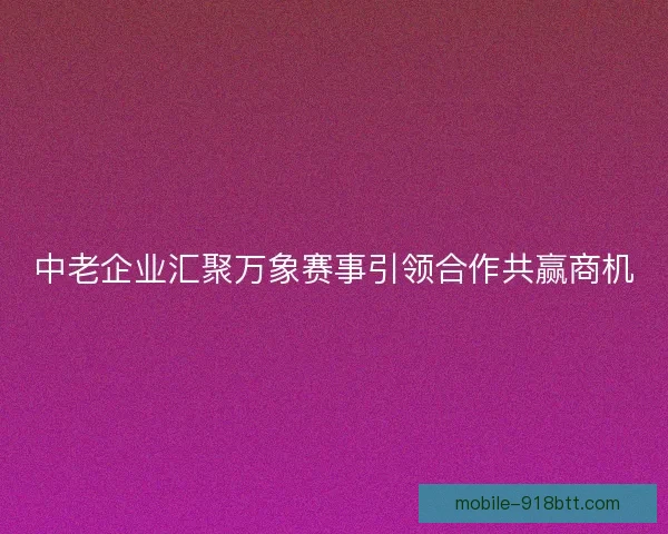 中老企业汇聚万象赛事引领合作共赢商机